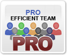 Pro Efficient Team